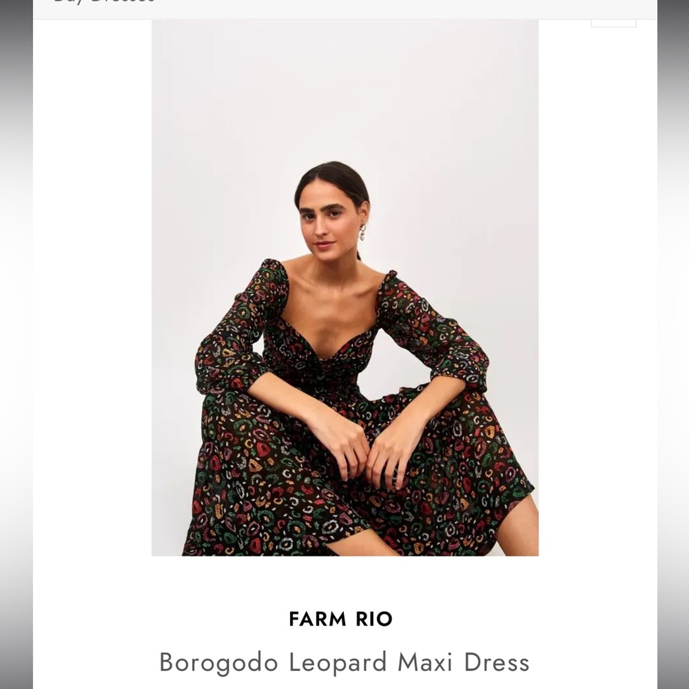 Size xs Farm Rio Borogodo Leopard Maxi Dress